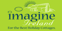 Logo Imagine Ireland